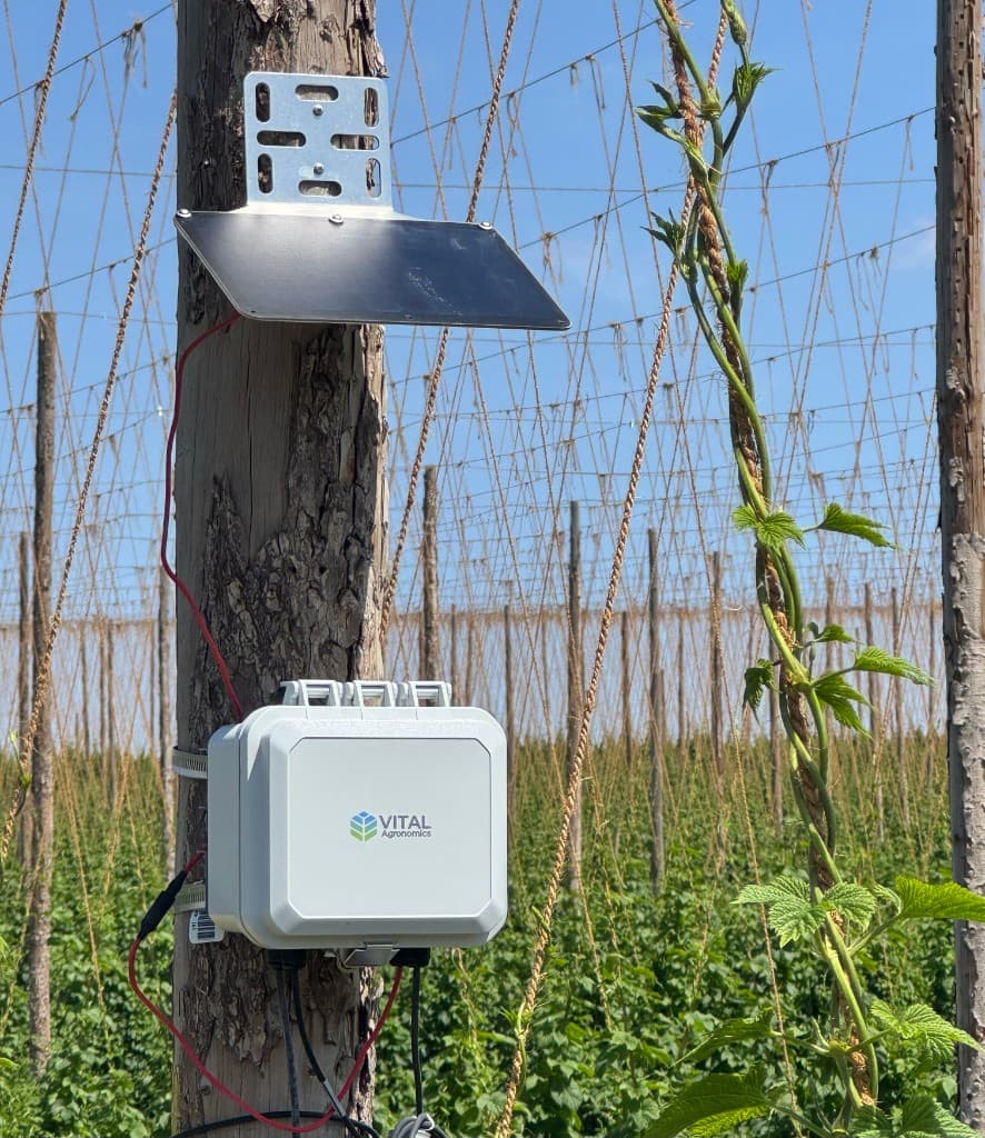 Vital Agronomics rugged telemetry enclosure and solar panel mounted on a pole in a hop field