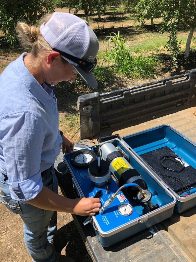 Grower using a pressure chamber measurement instrument in an almond orchard