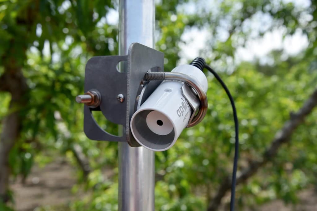 Apogee Instruments infrared radiometer on a pole mount in an orchard, aimed toward the canopy