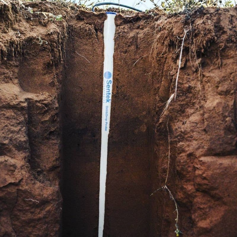 Soil moisture profile probe installed vertically in an exposed soil pit beside roots