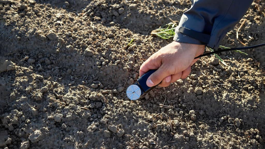 Handheld soil water potential sensor held above dry field soil with cable