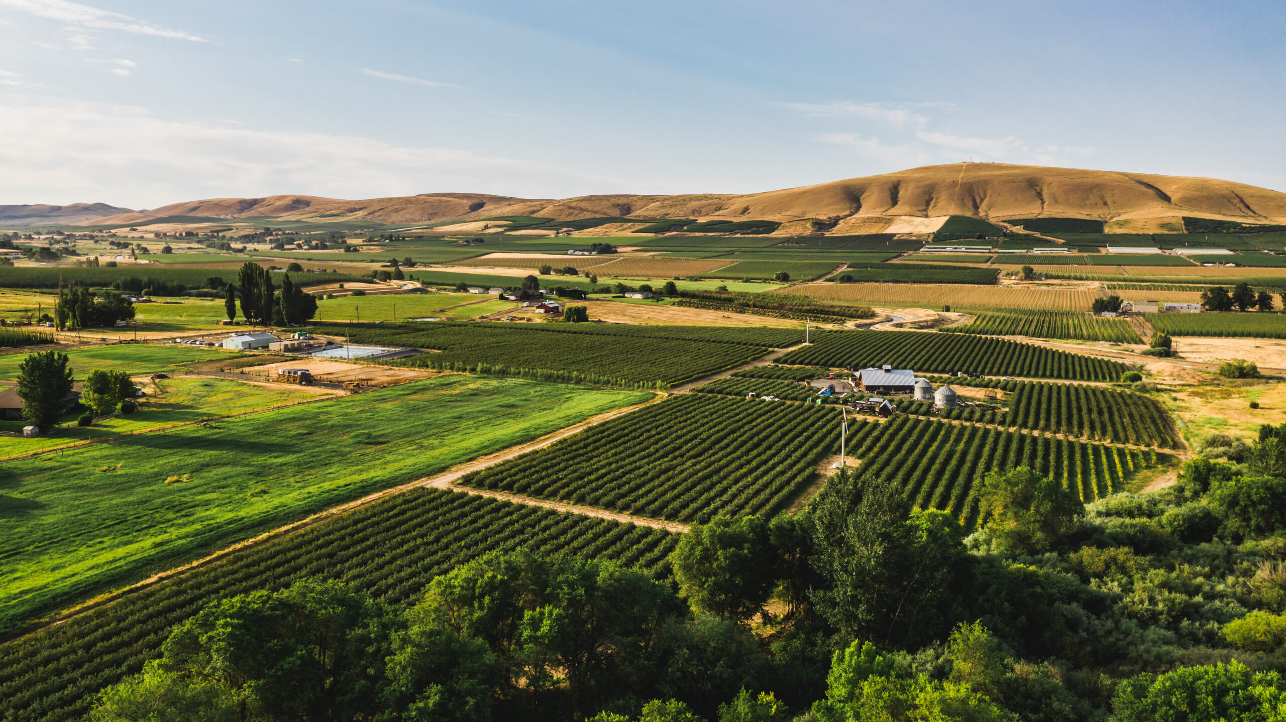 Aerial view of irrigated farmland and orchards in a green valley